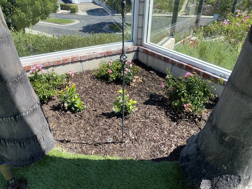 Professional yard cleanup service for residential properties in San Clemente, CA by Glen's Landscape & Lighting