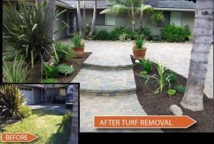 Custom lawn care service in San Clemente, CA by Glen's Landscape & Lighting