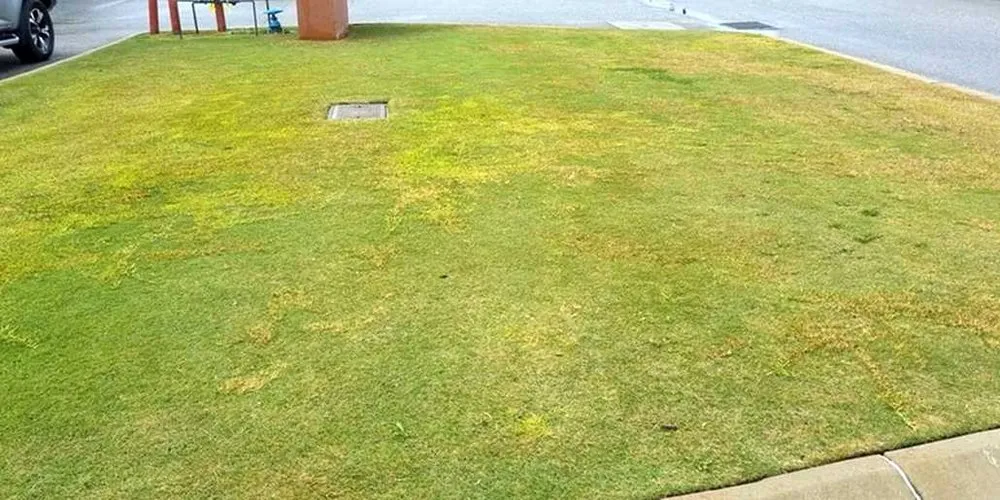 Custom lawn care service in Chicago, IL by Glenview Lawn Care