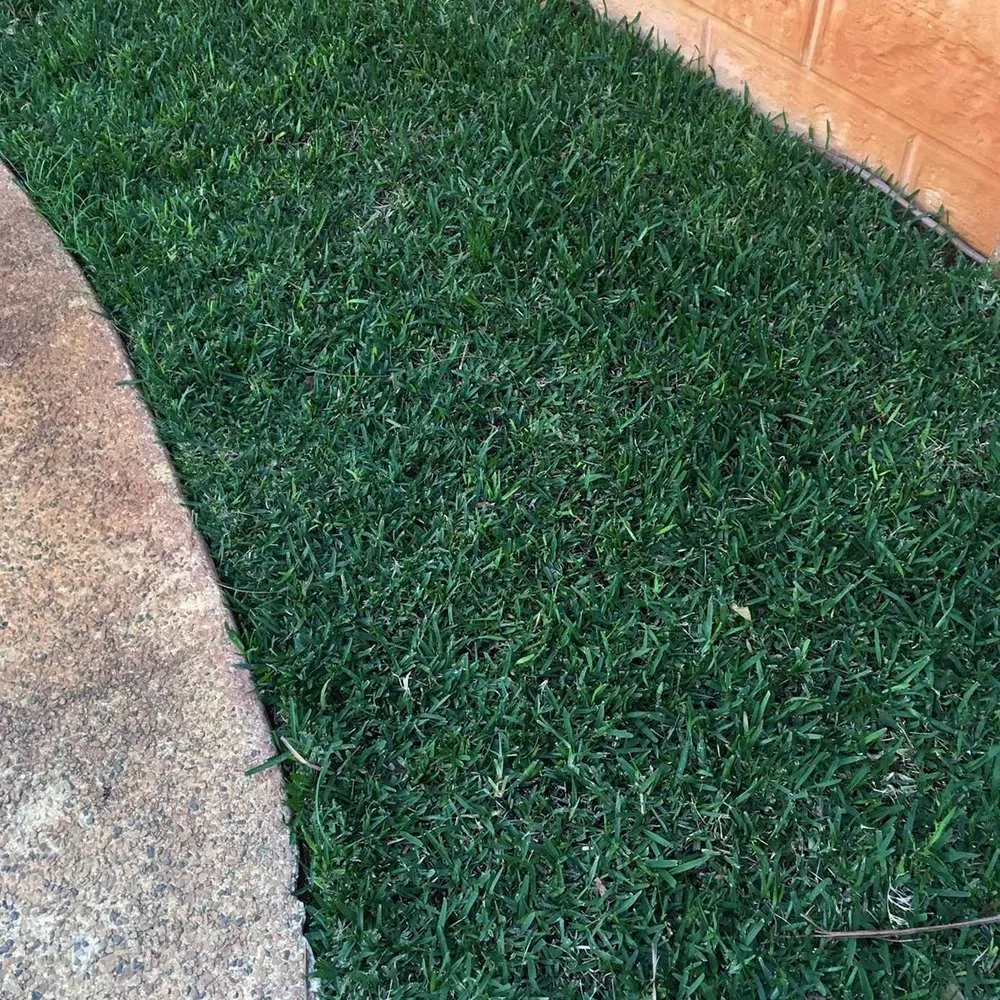 Expert yard cleanup service near you across Chicago, IL - Glenview Lawn Care