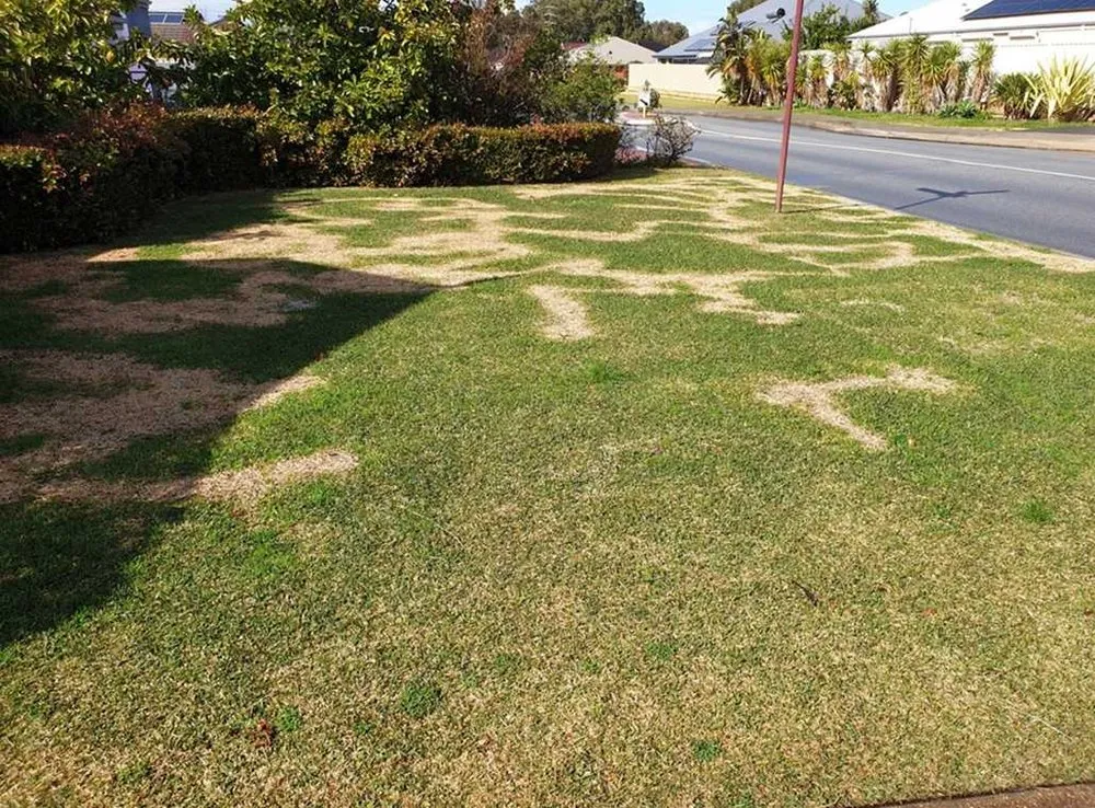 Professional garden landscaping experts serving Chicago, IL - Glenview Lawn Care