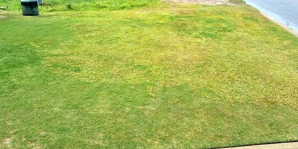 Expert yard cleanup service near you across Chicago, IL - Glenview Lawn Care