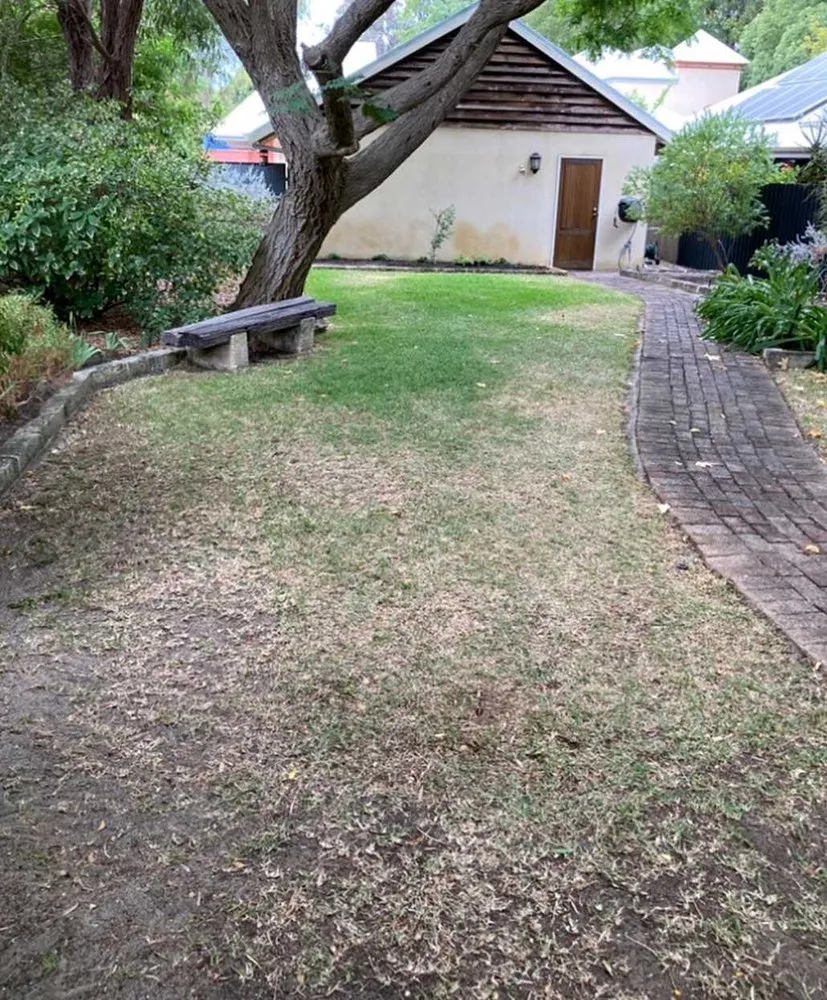 Expert landscaping services for beautiful yards across Chicago, IL - Glenview Lawn Care