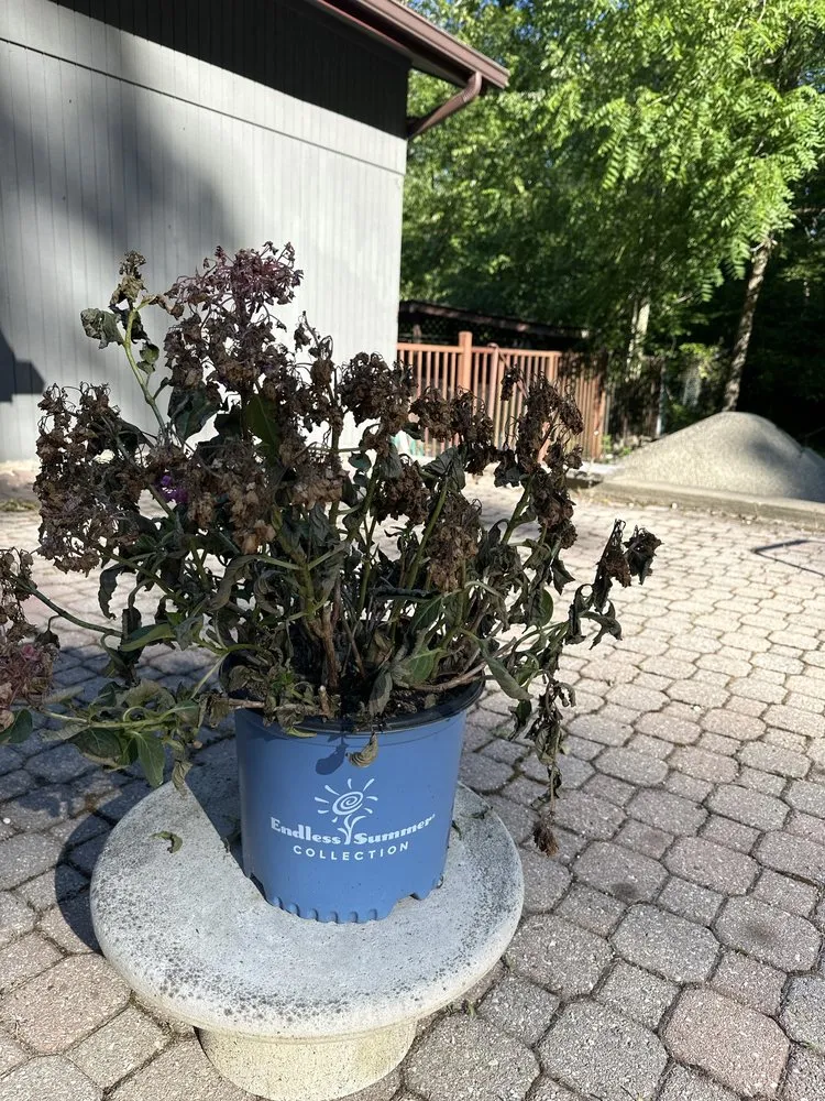 Reliable garden landscaping for homes in Bloomingdale, NJ by Glenwild Garden Center