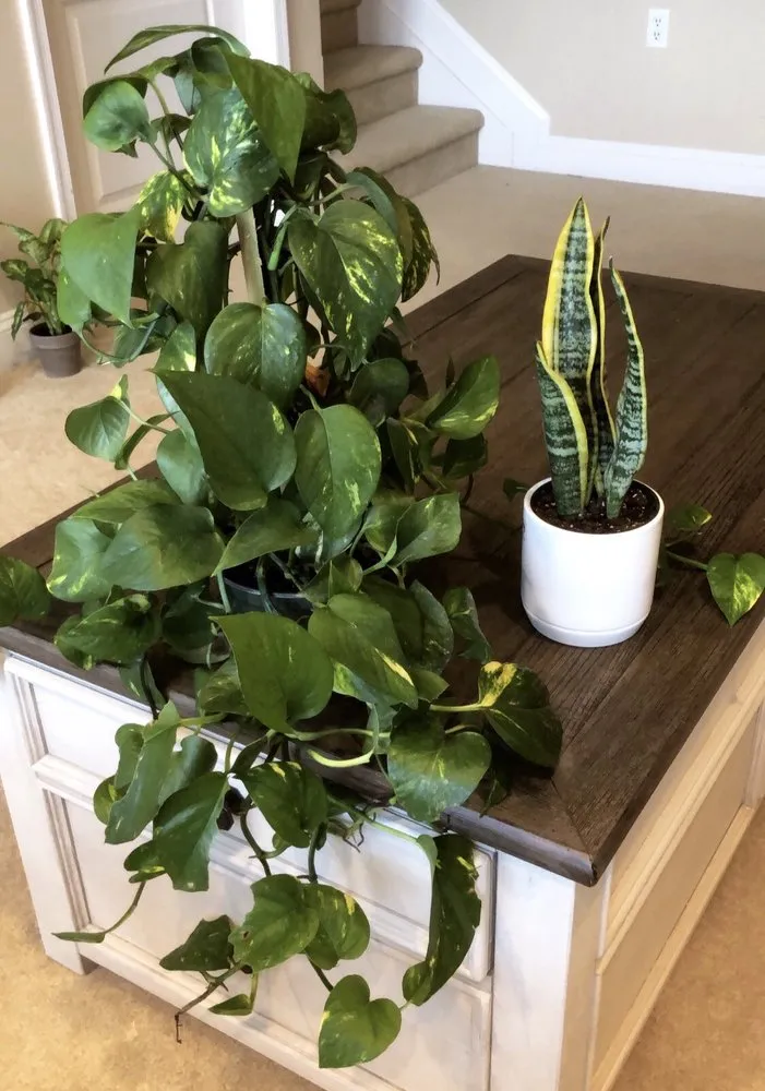 Top-rated residential landscaping experts serving Bloomingdale, NJ - Glenwild Garden Center