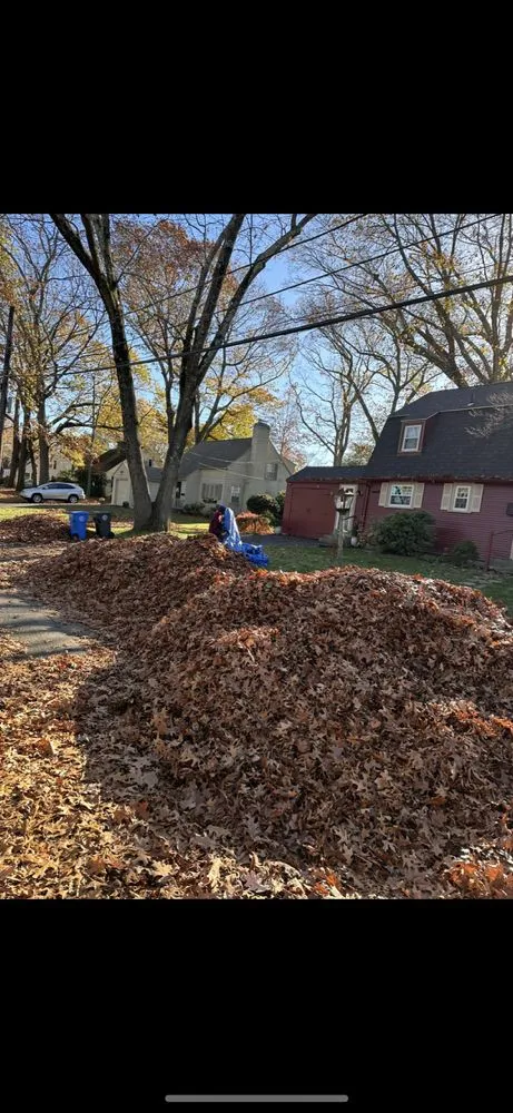 Top-rated residential landscaping experts serving Cranston, RI - Glenwood Landscaping