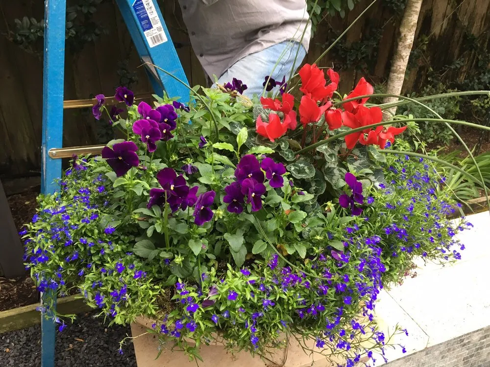 Custom landscape installation for outdoor upgrades in Houston, TX by Glenwood Weber Design