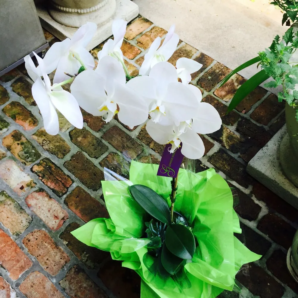 Custom landscape installation in Houston, TX by Glenwood Weber Design