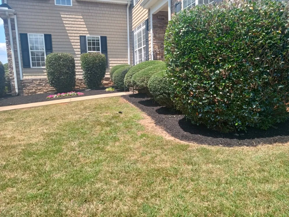 Expert yard maintenance experts serving Greenville, SC - Glez Lawn Care