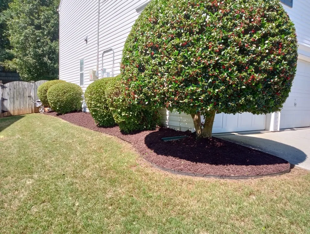 Top-rated garden landscaping experts serving Greenville, SC - Glez Lawn Care