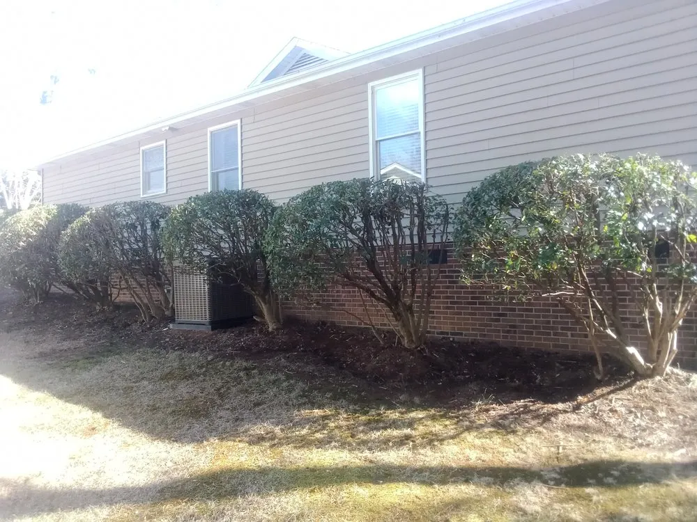 Custom yard cleanup service experts serving Greenville, SC - Glez Lawn Care