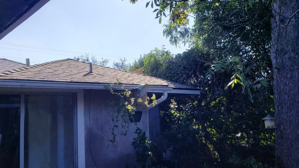 Trusted lawn care service in Burbank, CA - Glez Tree Service