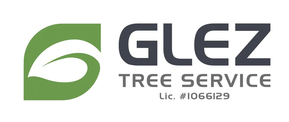 Affordable outdoor landscaping for beautiful yards in Burbank, CA by Glez Tree Service