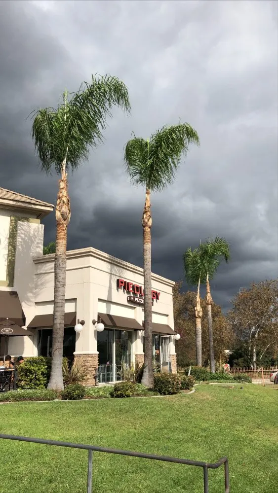 Custom yard cleanup service in Burbank, CA - Glez Tree Service