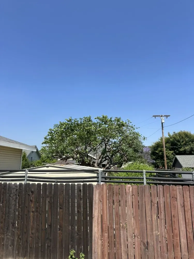 Top-rated yard maintenance in Burbank, CA by Glez Tree Service