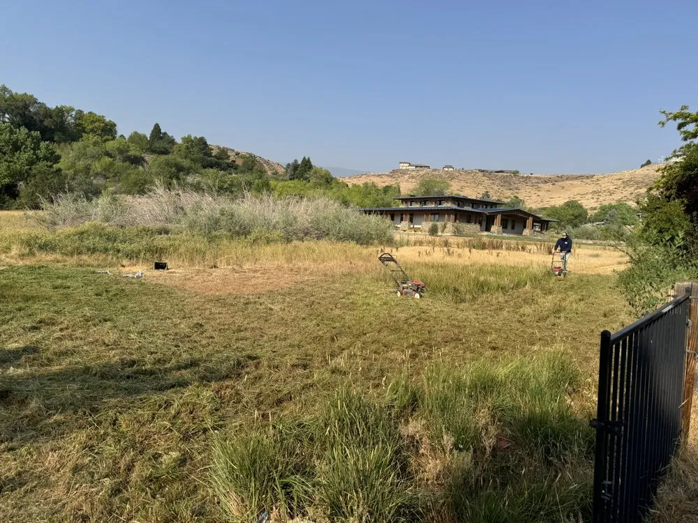 Professional yard maintenance experts serving Carson City, NV - GLG Landscaping & Handyman