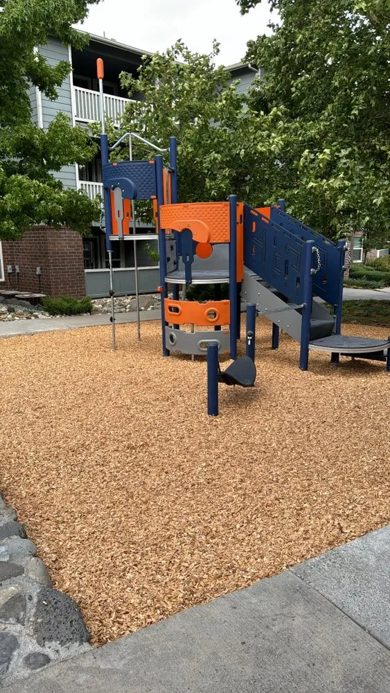 Top-rated lawn care service in Carson City, NV by GLG Landscaping & Handyman