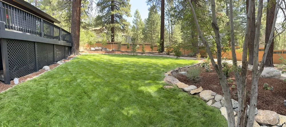 Reliable yard cleanup service in Carson City, NV - GLG Landscaping & Handyman