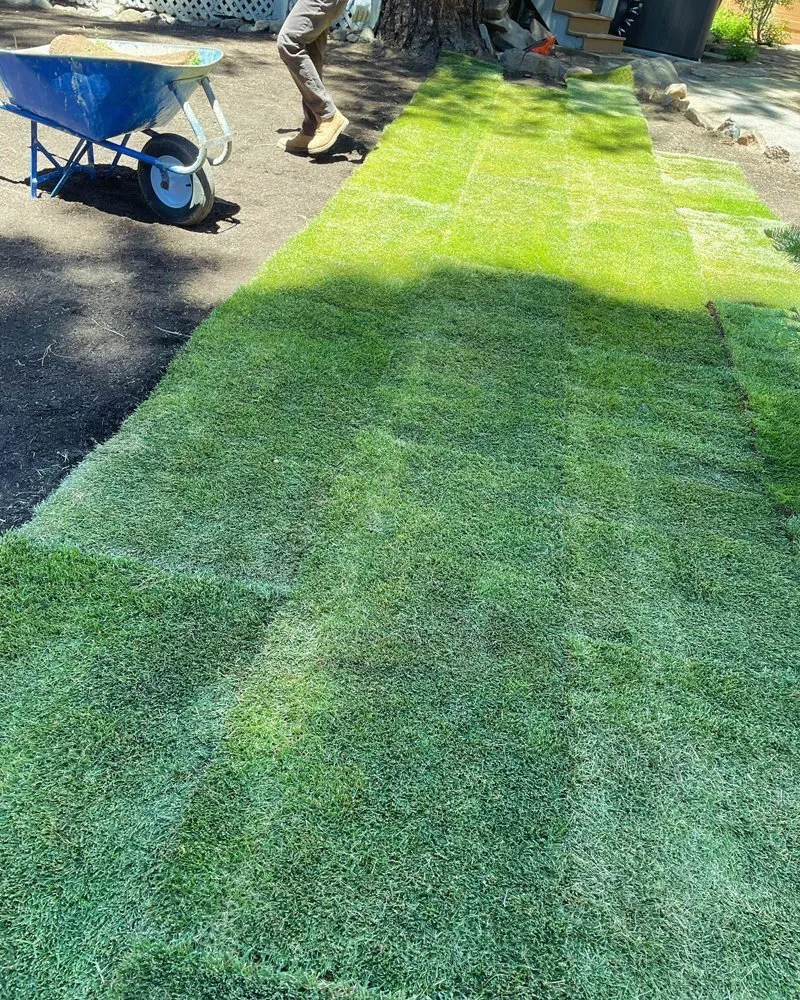 Reliable landscape installation in Carson City, NV by GLG Landscaping & Handyman