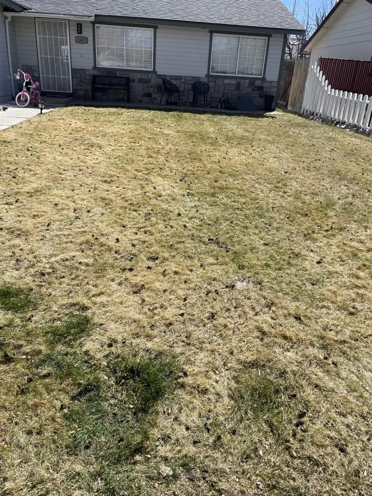 Local landscape design in Carson City, NV - GLG Landscaping & Handyman