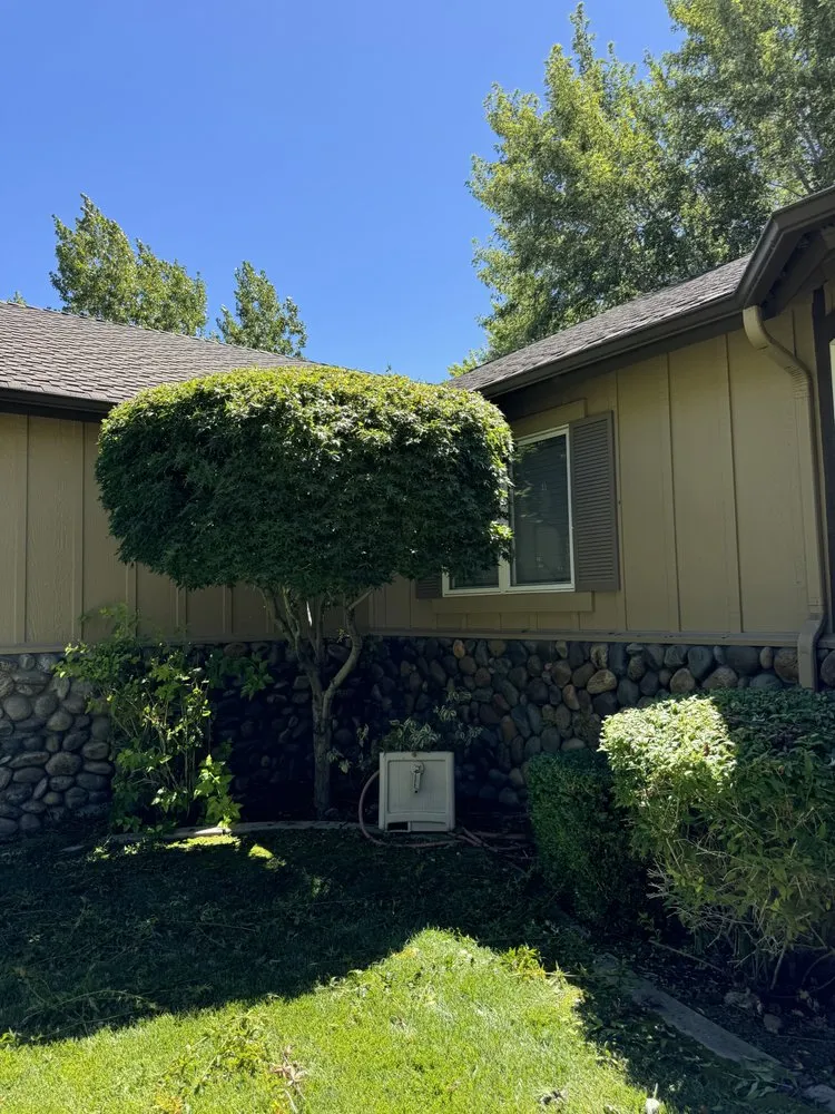 Expert residential landscaping with custom design across Carson City, NV - GLG Landscaping & Handyman