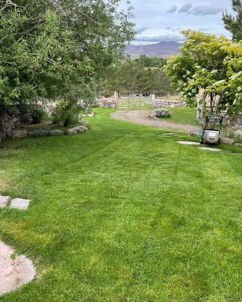 Affordable residential landscaping in Carson City, NV - GLG Landscaping & Handyman