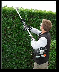 Custom yard cleanup service for year-round maintenance across Greensboro, NC - Gli landscaping