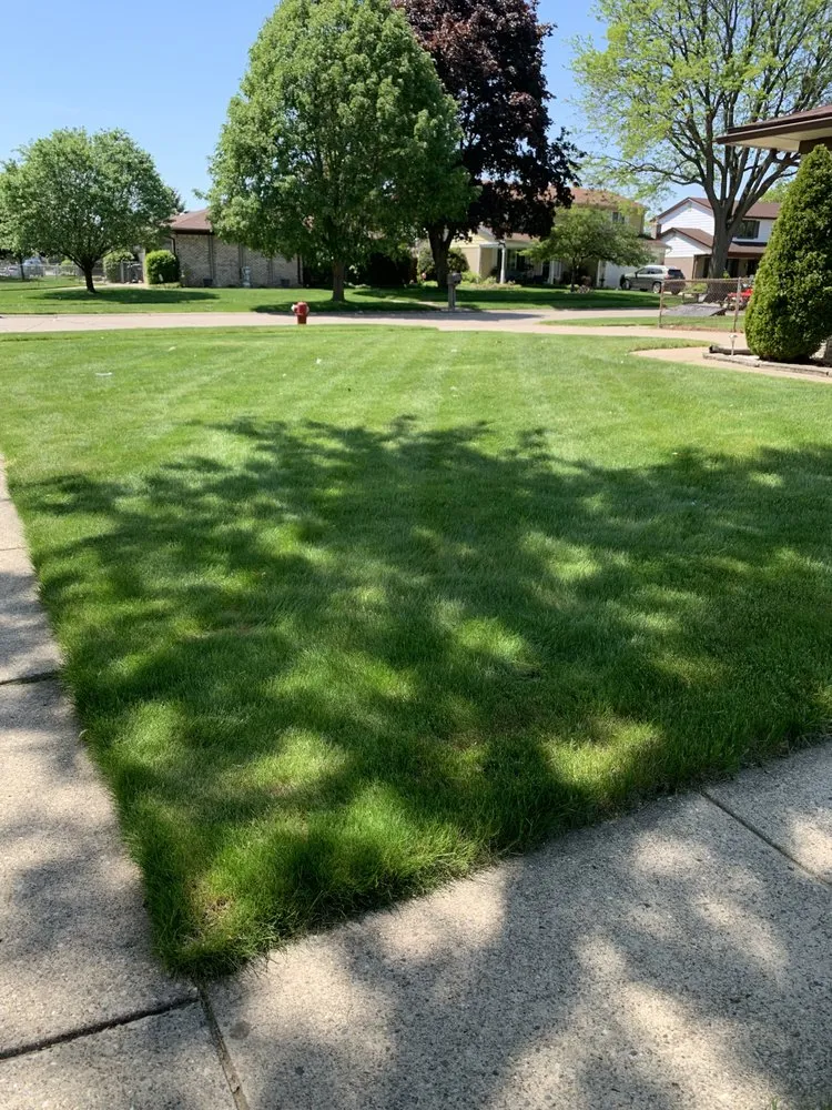 Top-rated landscape installation in Sterling Heights, MI - GLI Lawncare