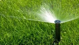 Expert outdoor landscaping near you across Boca Raton, FL - GLIG Groundworks