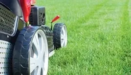 Affordable outdoor landscaping experts serving Boca Raton, FL - GLIG Groundworks