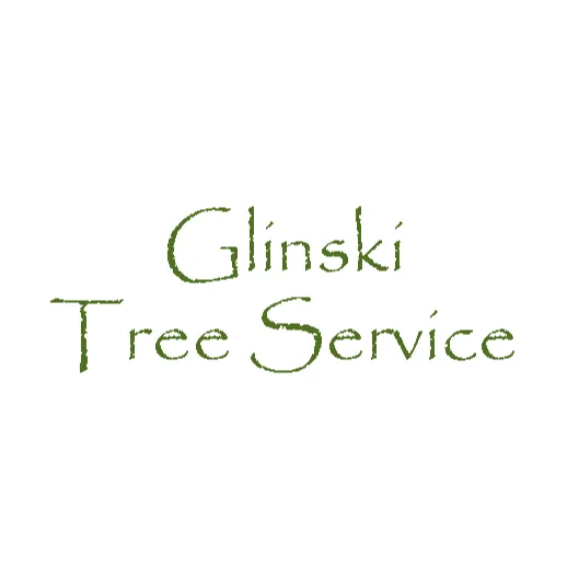 Reliable yard cleanup service for year-round maintenance in Pleasantville, NY by Glinski Tree Service