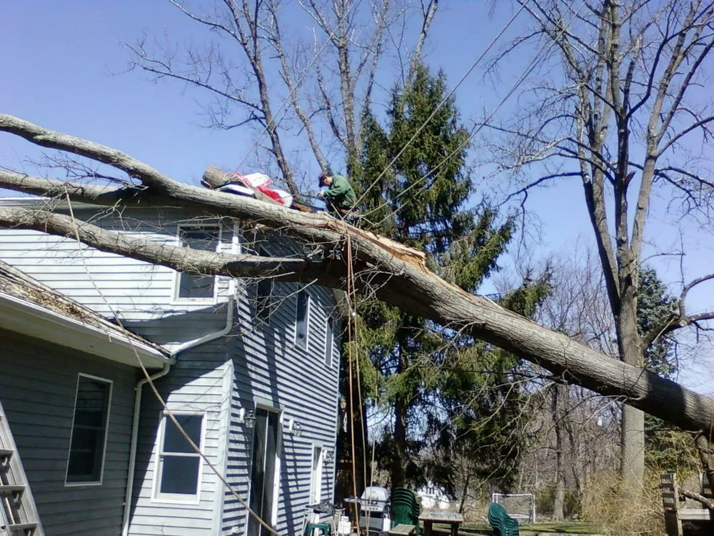 Affordable lawn care service for year-round maintenance in Pleasantville, NY by Glinski Tree Service