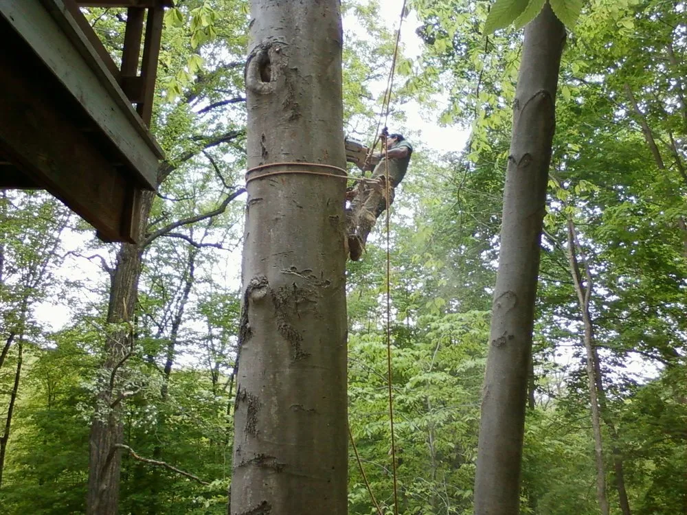 Expert landscaping services for beautiful yards across Pleasantville, NY - Glinski Tree Service