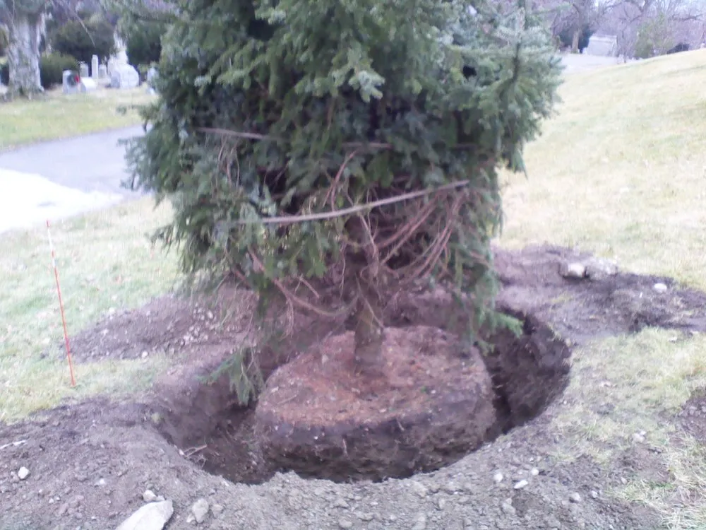 Expert landscape design for outdoor upgrades across Pleasantville, NY - Glinski Tree Service