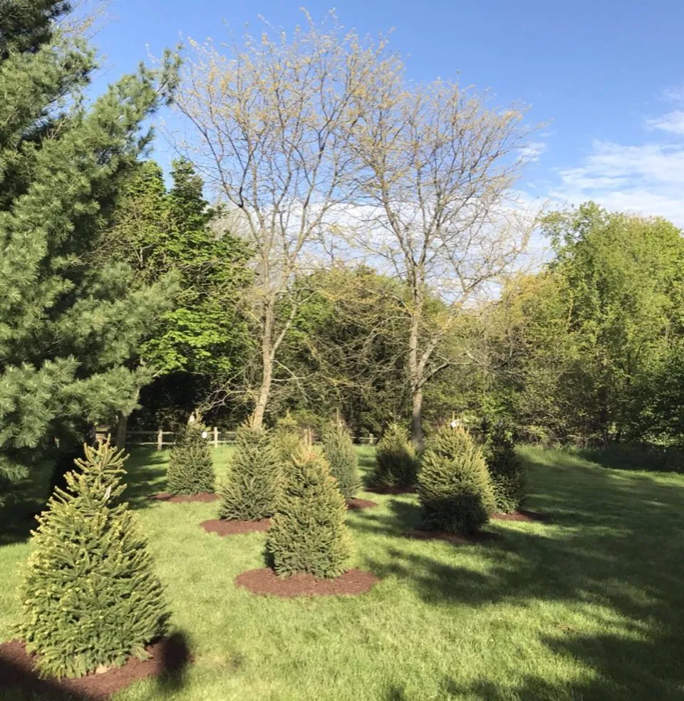 Professional lawn care service in Ann Arbor, MI - GLL Services
