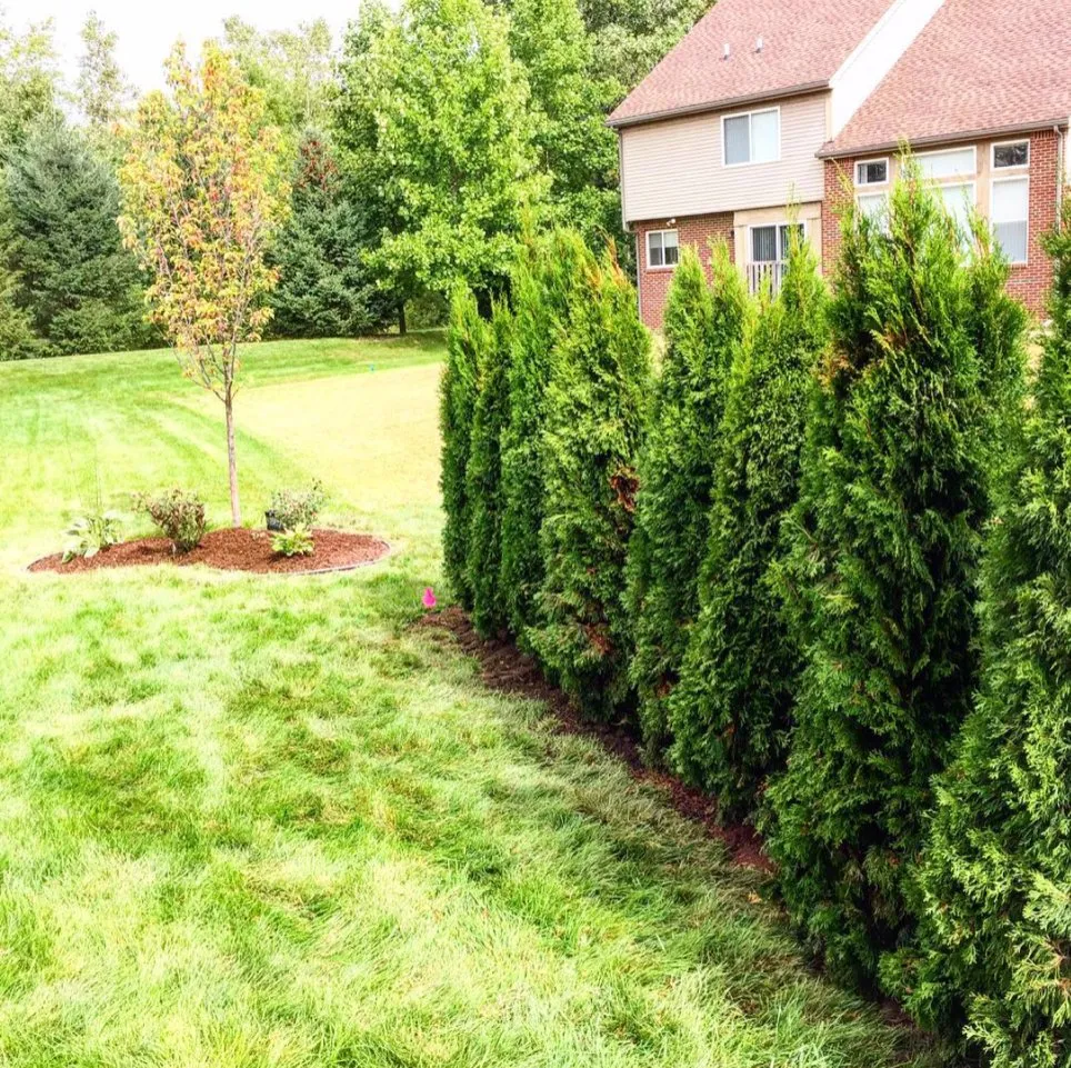 Reliable lawn care service near you in Ann Arbor, MI by GLL Services