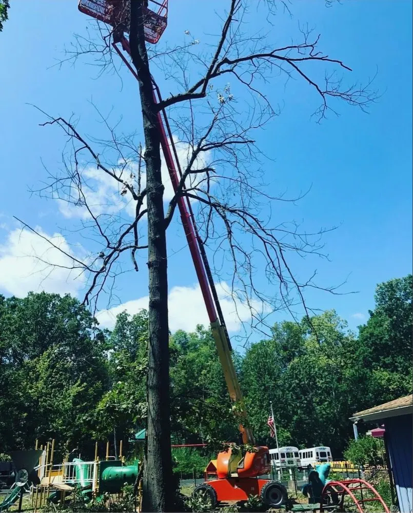 Top-rated landscape installation for outdoor upgrades across Ann Arbor, MI - GLL Services