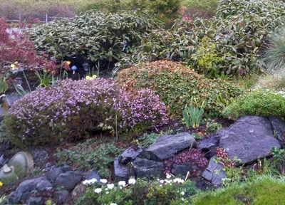 Professional lawn care service for outdoor upgrades in Ferndale, WA by GLM