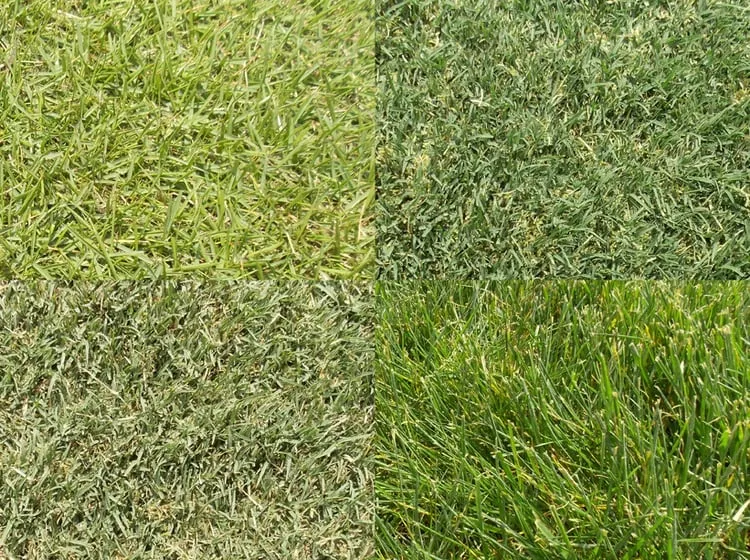 Custom landscape design for beautiful yards across Alpharetta, GA - GLM Landscape Supply