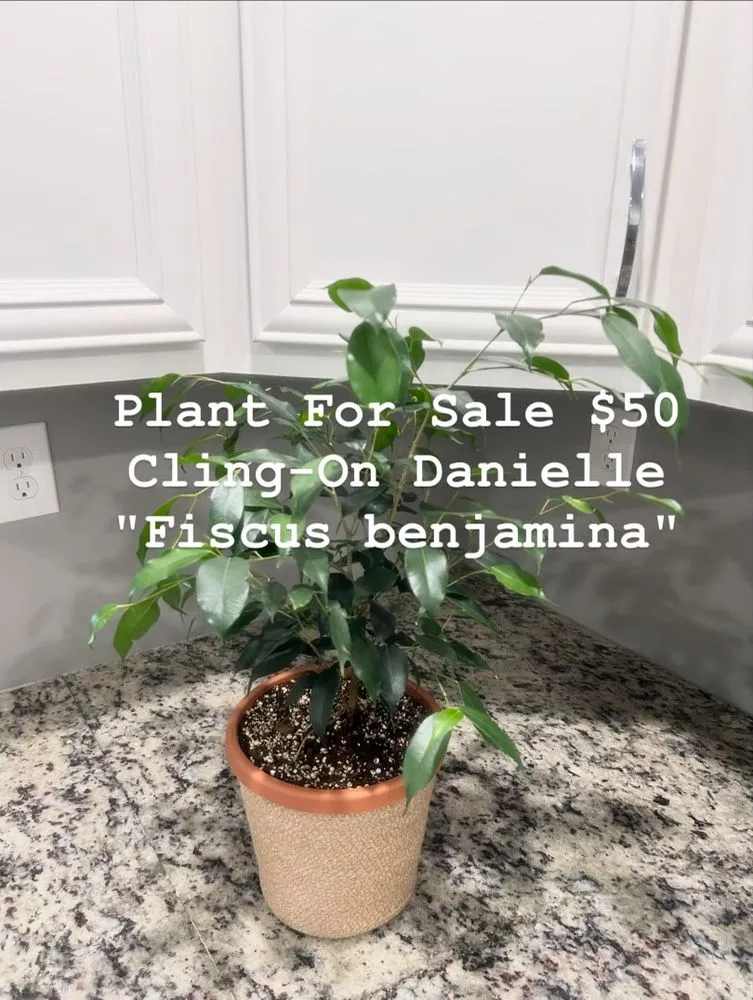 Custom landscape installation experts serving Lexington, KY - Global & Sons Landscaping & Gardening