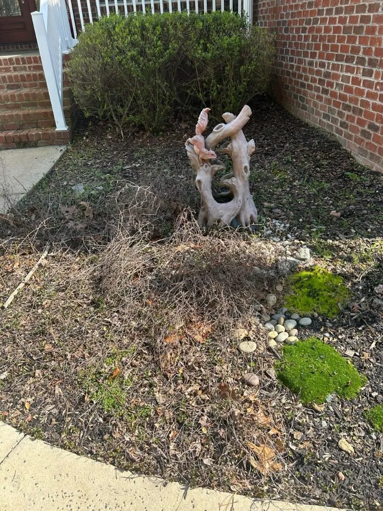 Professional lawn care service experts serving Norwood, NC - Global Brothers Earthworks