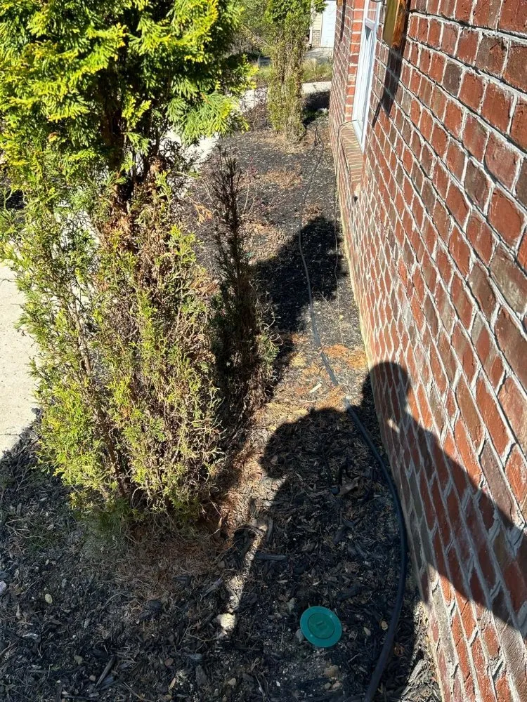 Professional yard maintenance in Norwood, NC by Global Brothers Earthworks