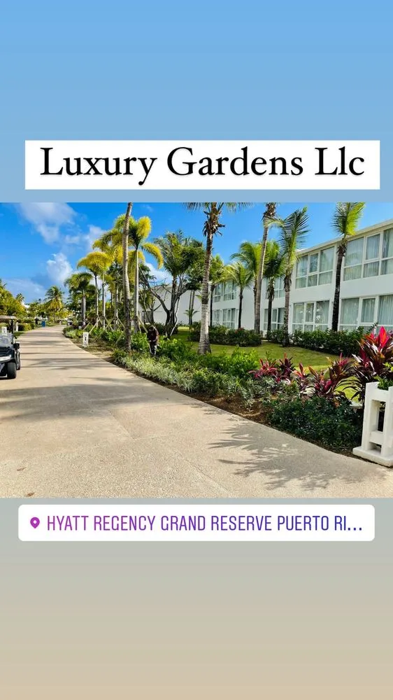 Top-rated outdoor landscaping for year-round maintenance across Bonita Springs, FL - Global Garden