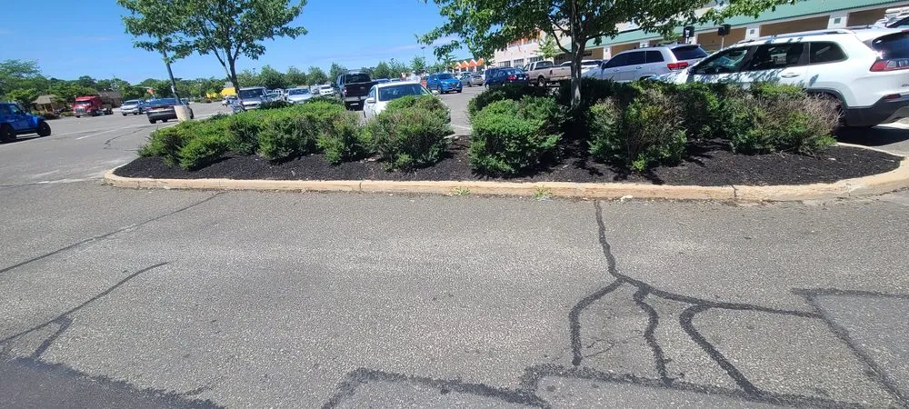 Custom lawn care service experts serving New York, NY - Global Industrial Maintenance