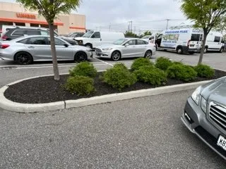 Trusted yard cleanup service for beautiful yards across New York, NY - Global Industrial Maintenance