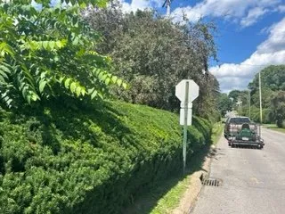 Trusted lawn care service for residential properties in New York, NY by Global Industrial Maintenance