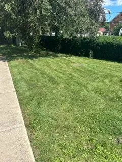 Local garden landscaping in New York, NY - Global Industrial Maintenance