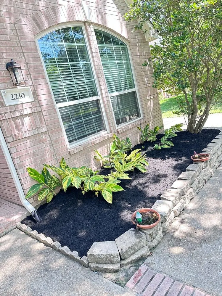 Top-rated residential landscaping for outdoor upgrades in El Cajon, CA by Global Landscape