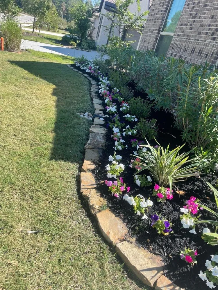 Reliable yard maintenance experts serving El Cajon, CA - Global Landscape