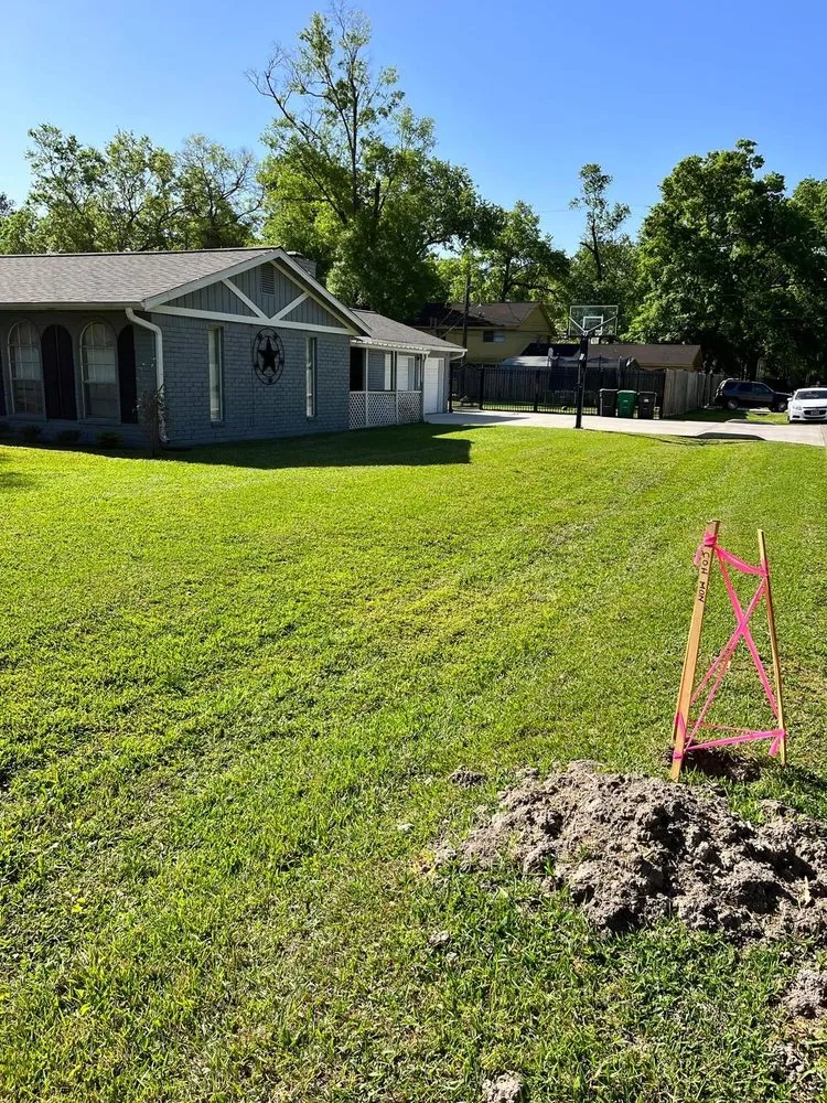 Top-rated yard cleanup service in El Cajon, CA by Global Landscape